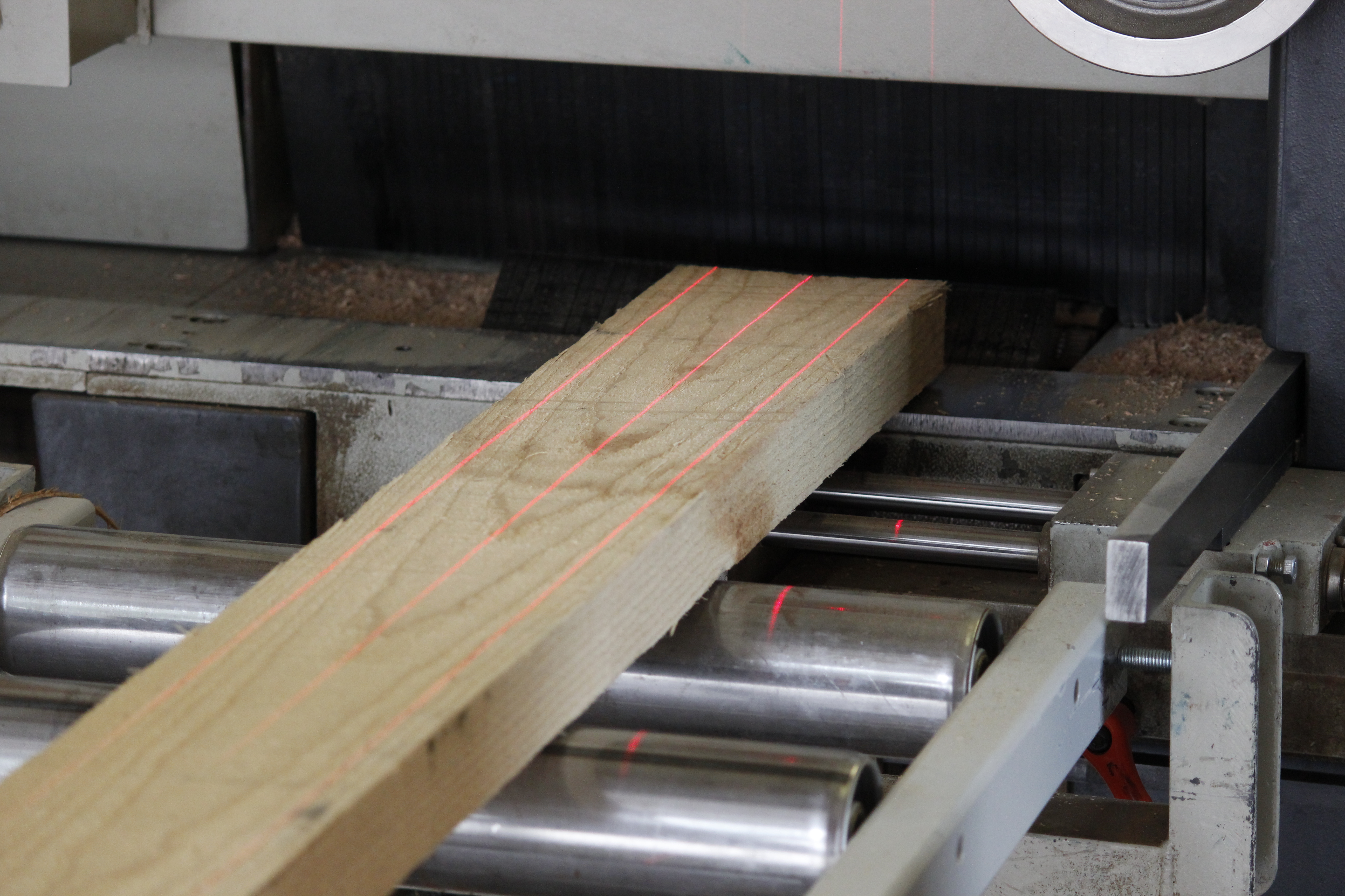 Vensterbank van massief hout in productie: ruw houten blank op rollenbaan van een zaag met rode laserlijnen, werkplaats