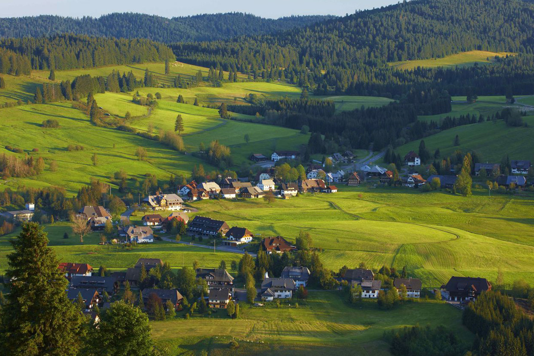 Landschap in het Zwarte Woud met dorp, groene weiden en dennenbossen, thuisbasis van de leuningproductie